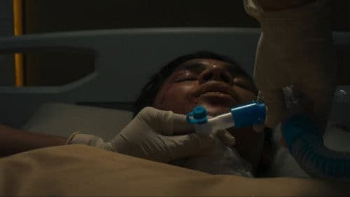 Ozora: Penganiayaan Brutal Penguasa Jaksel