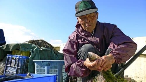 Fish! A Japanese Obsession