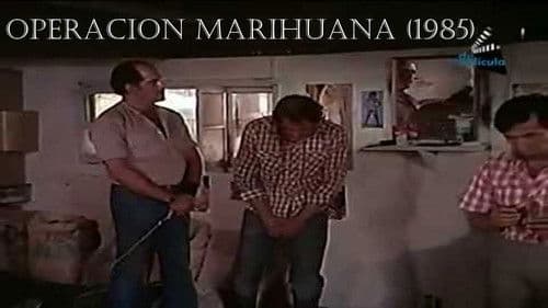 Operation Marihuana