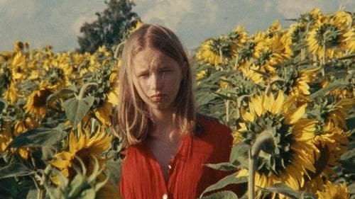 Alice and the Sunflowers