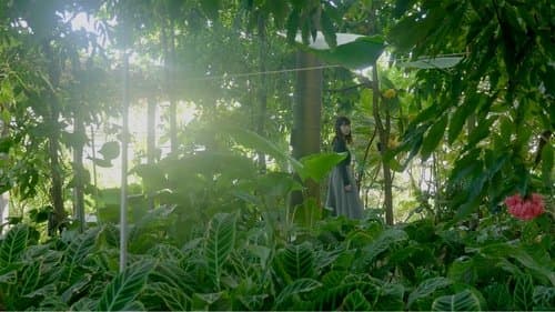 The Wandering Plants