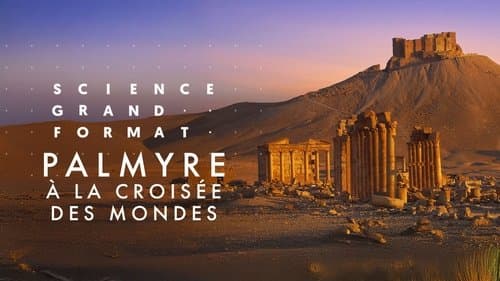 Palmyre, à la croisée des mondes