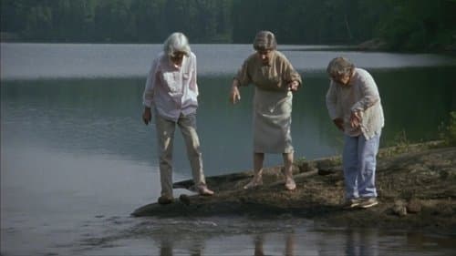 The Company of Strangers