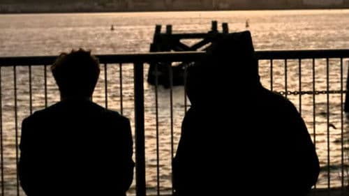 Star Wars: The Equilibrium Knight