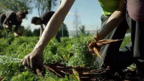 La ferme et son état