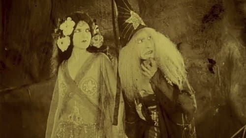 Folly of Vanity