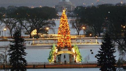 The National Christmas Tree, A Century of Celebration