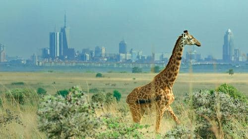 Breaking Boundaries: The Science of Our Planet