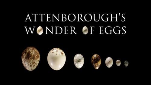 Attenborough's Wonder of Eggs