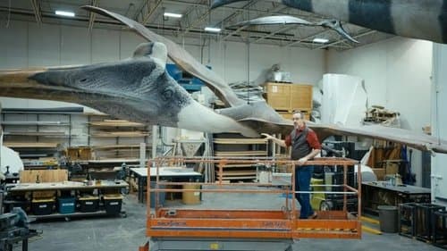 Le rêve de Léonard : Les secrets du vol dans la nature