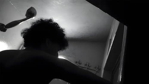 Shadows of Silence