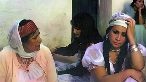 Douar De Femmes