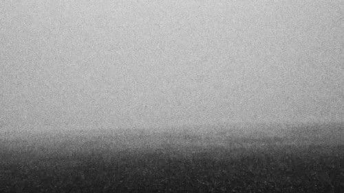 How Does It Feel to Disappear Completely?