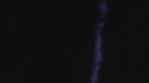 Témele a la Oscuridad: Luz