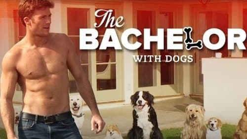 The Bachelor with Dogs and Scott Eastwood