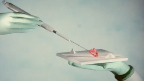 An Ephemeral Mission